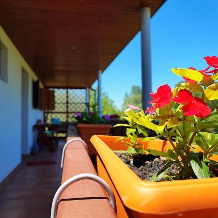 Apartman Dunav Aljmaš エクステリア 写真
