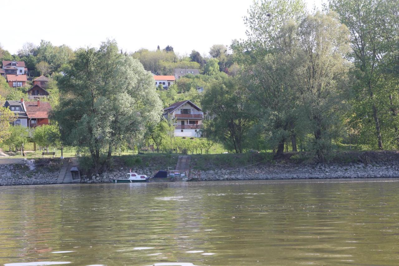 Apartman Dunav Aljmaš エクステリア 写真